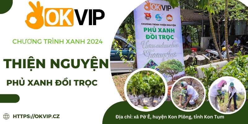 Hoạt động tình nguyện trồng cây - bảo vệ Trái Đất